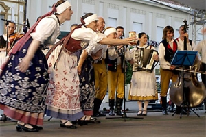 Days of Czech’s culture in Daruvar