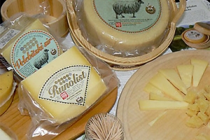 Business Fair - cheese Fair in Grubišno Polje