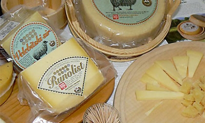 Business Fair - cheese Fair in Grubišno Polje