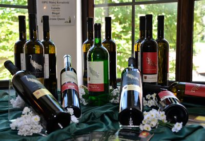 Vinodar – najzabavniji festival vina