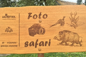 Foto safari i promatranje ptica
