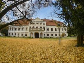 Castle Jankovic