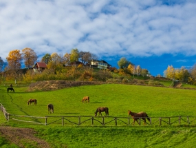 Agrotourism On a small hill
